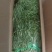 云南野菜特菜/贡菜精品贡菜/量大价优/欢迎咨询