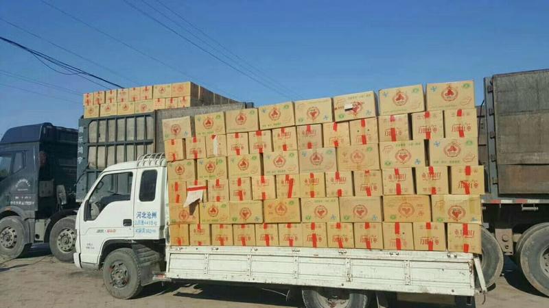 新疆若羌灰若羌红枣供电商平台厂家批发一手货源