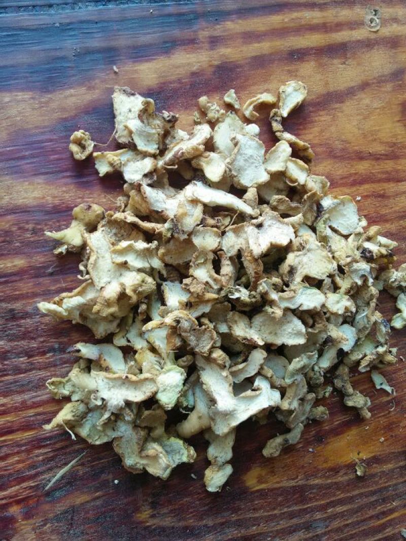 黄精切片