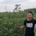 花椒苗大红袍花椒苗育苗基地无刺花椒苗基地