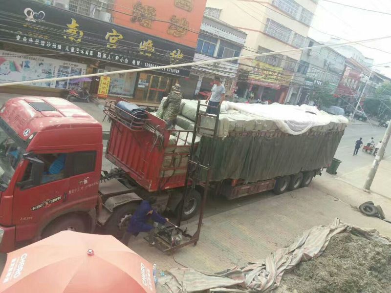 【热卖】大艾叶，常年有货，欢迎全国各地的老板来订购诚信