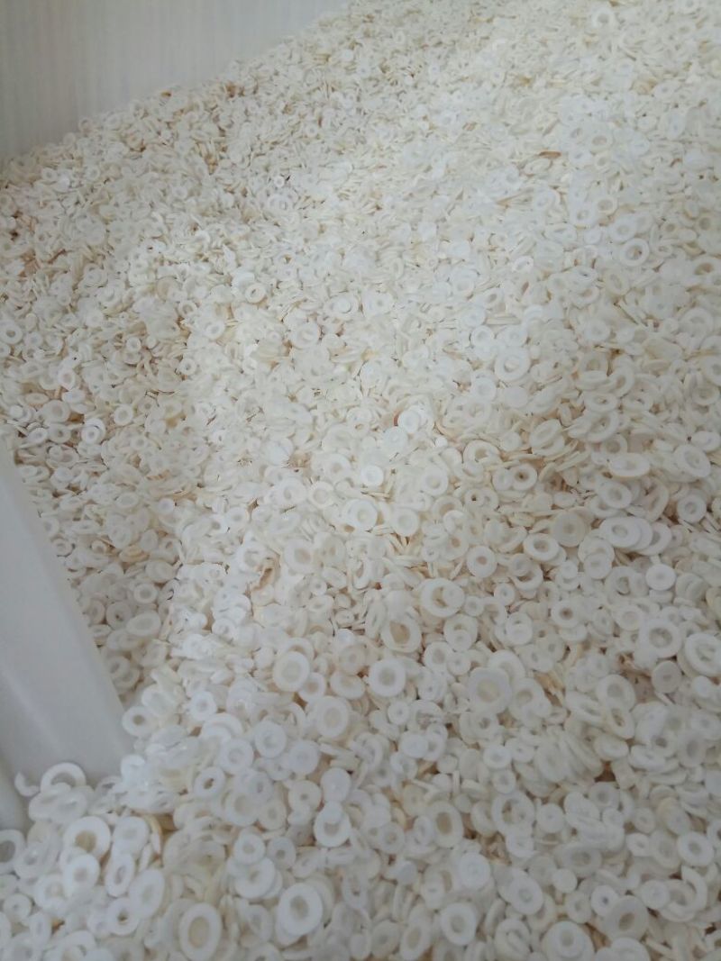通草