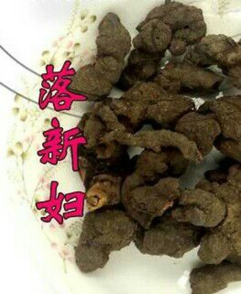 落新妇干货个子天然晒干无硫熏量大从优