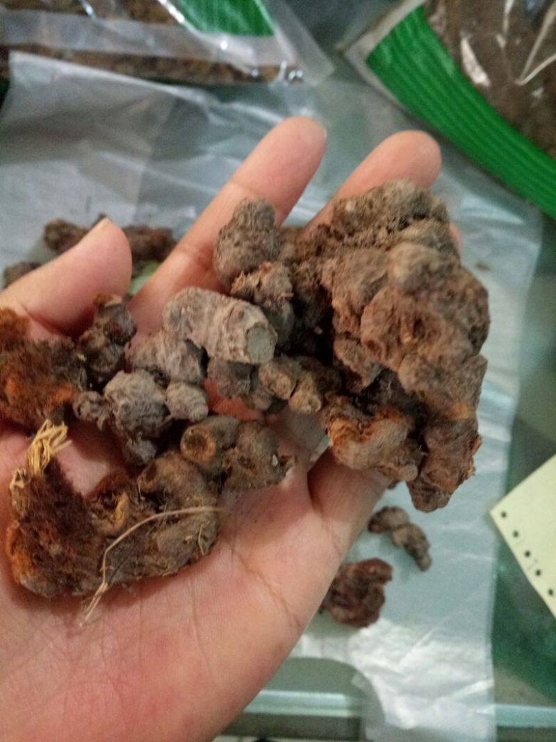 落新妇干货个子天然晒干无硫熏量大从优