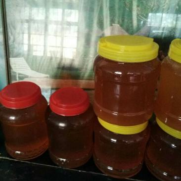 土蜂蜜5斤