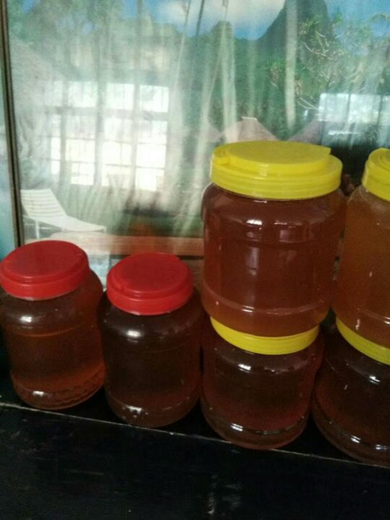 土蜂蜜5斤