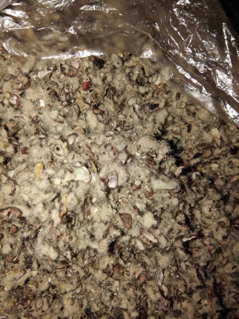 棉籽壳磨盘