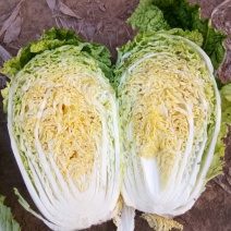 玲珑黄白菜毛菜4~6斤
