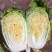 玲珑黄白菜毛菜4~6斤