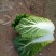 玲珑黄白菜毛菜4~6斤