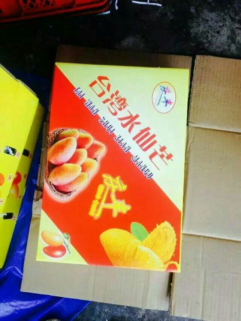 金煌芒8两以上