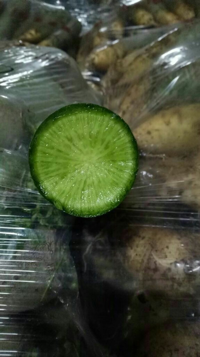 潍县青萝卜1~1.5斤起