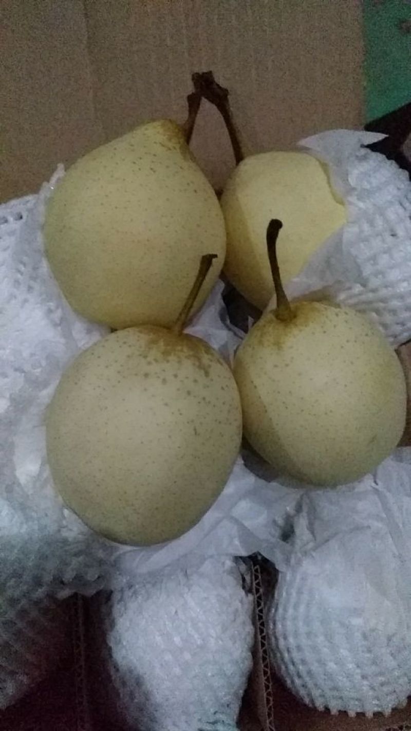 鸭梨200~250g纸箱