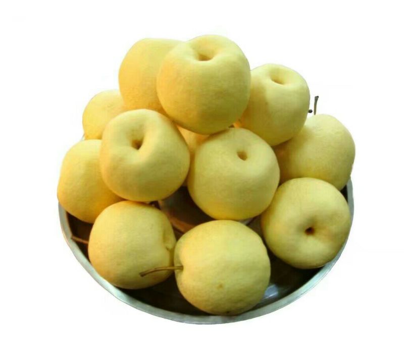 砀山梨筐装250~300g（含有糖份，矿物质）