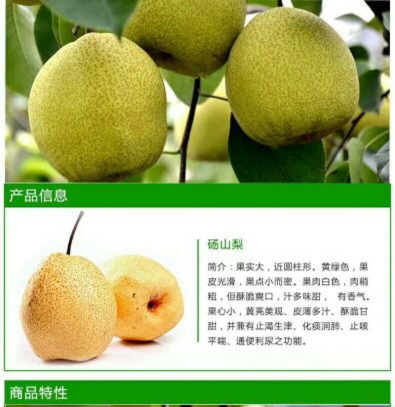 砀山梨筐装250~300g（含有糖份，矿物质）