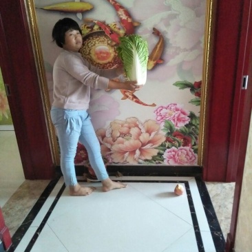 北京新三号4~6斤净菜