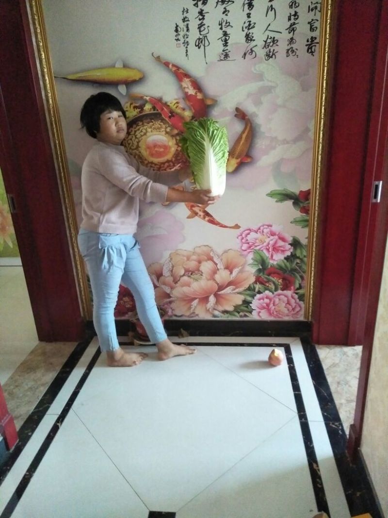 北京新三号4~6斤净菜