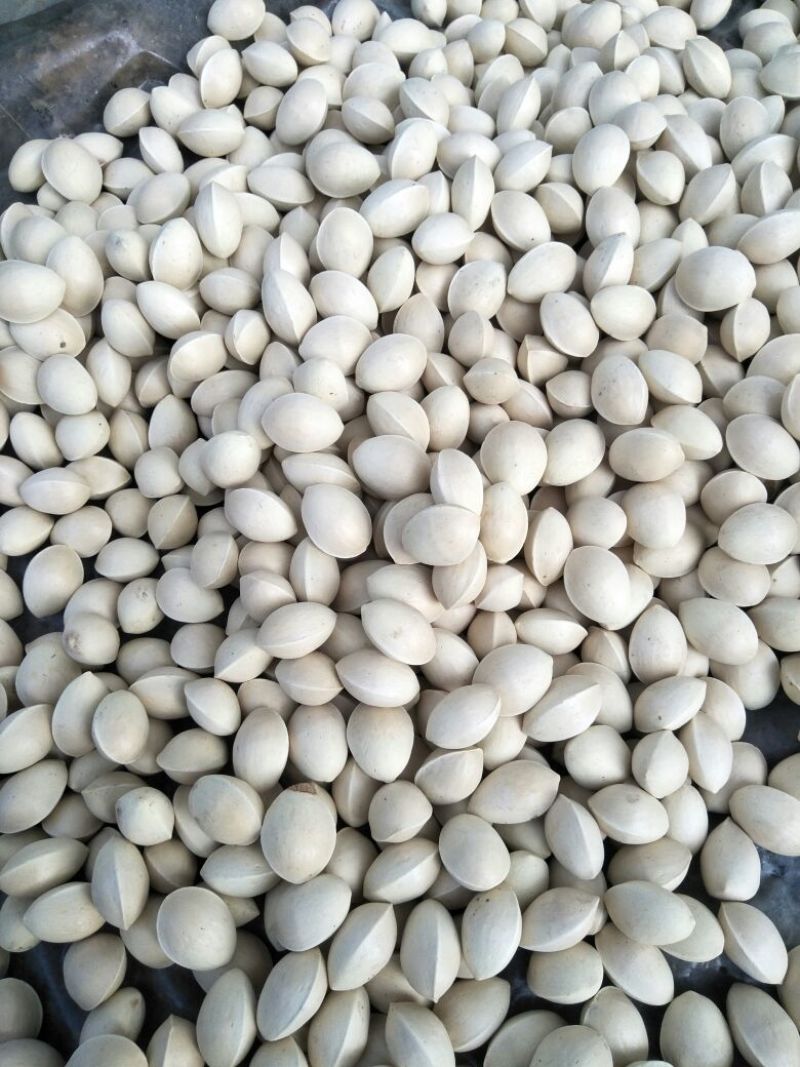 银杏果自家量大可议价