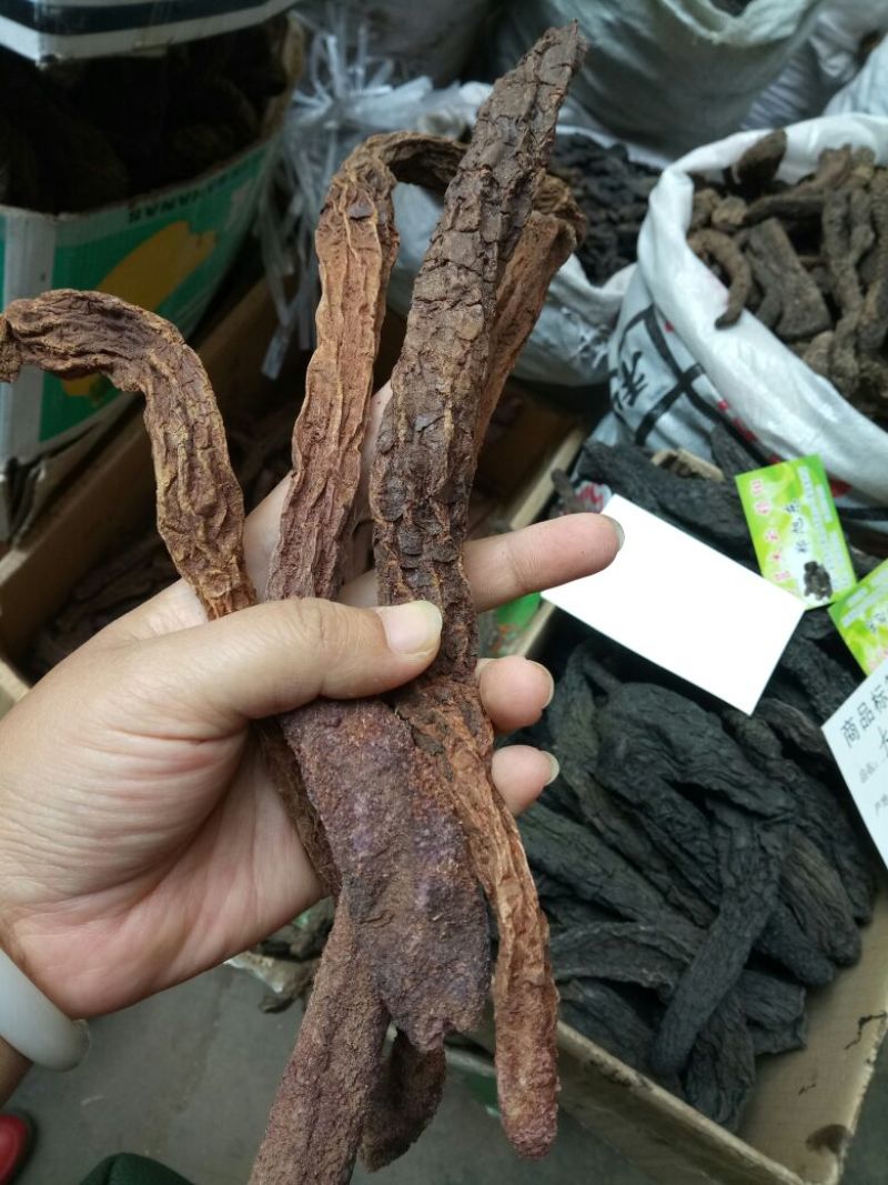 锁阳内蒙干货整支2斤起包邮