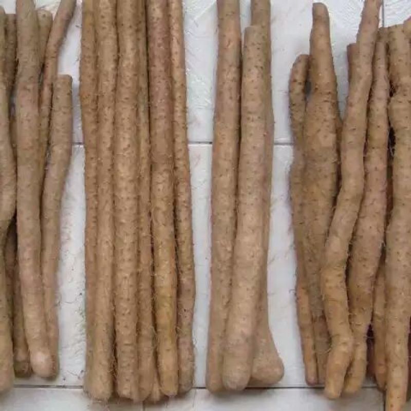 白芋长山药4~6厘米特级手捡70~90厘米