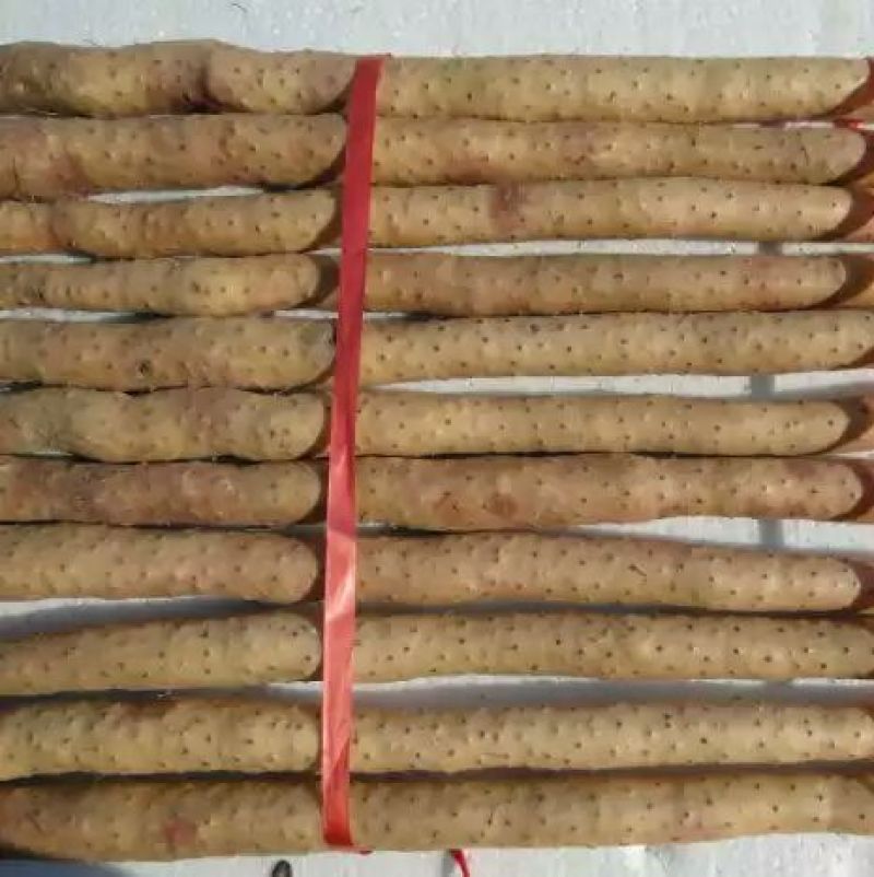 白芋长山药4~6厘米特级手捡70~90厘米