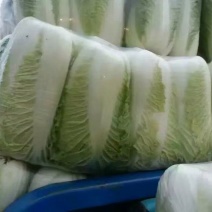 北京新三号北京三号，白菜，净菜4~6斤大量供应，质量