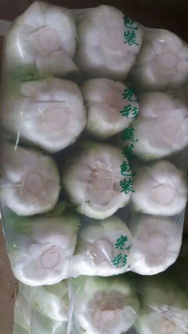 北京新三号北京三号，白菜，净菜4~6斤大量供应，质量