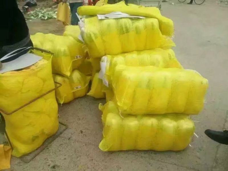 北京新三号北京三号，白菜，净菜4~6斤大量供应，质量