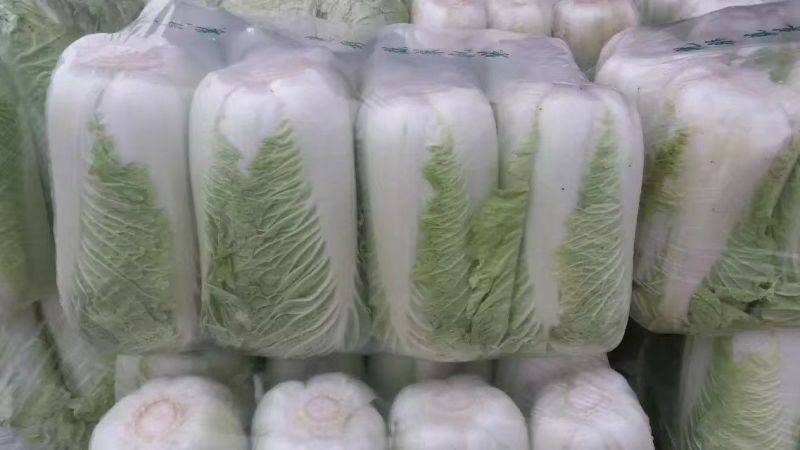 北京新三号北京三号，白菜，净菜4~6斤大量供应，质量
