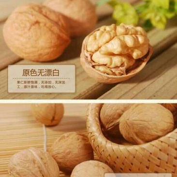 核桃30mm以上去皮干