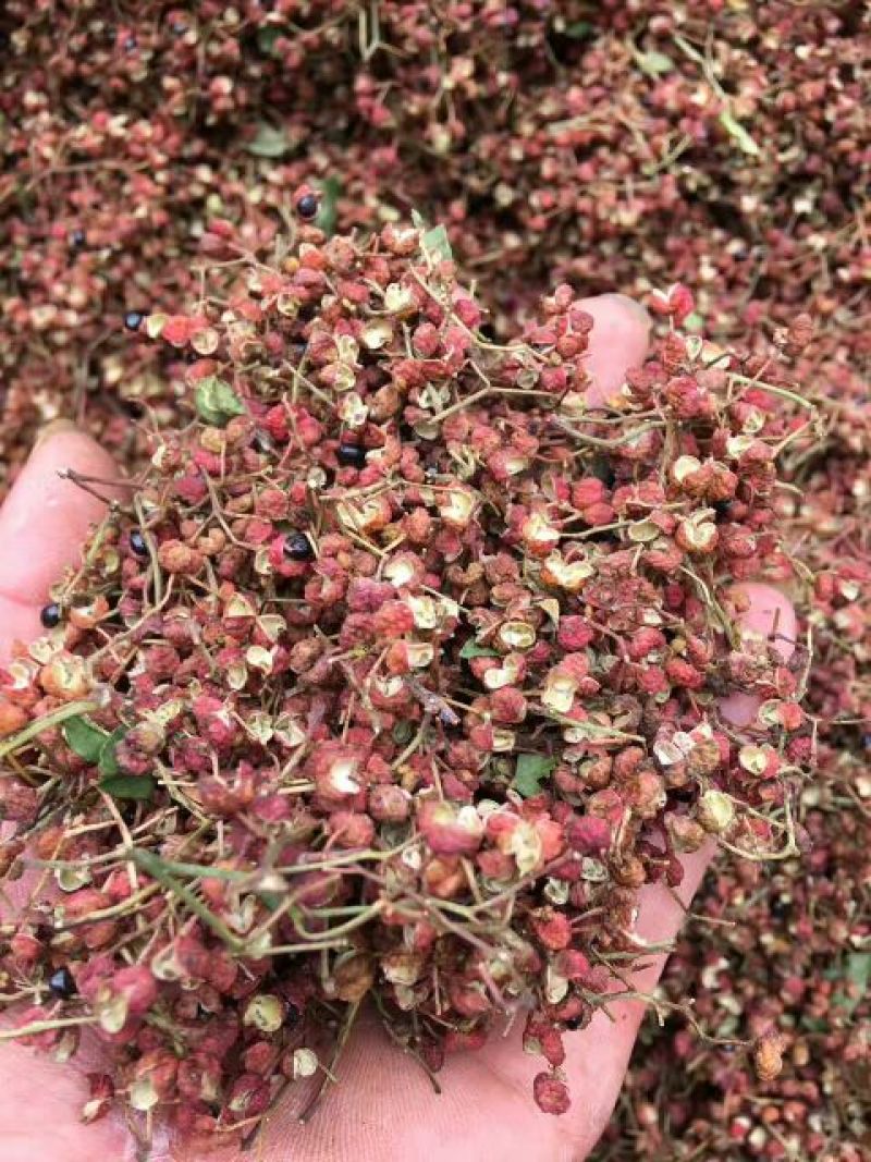 大红袍花椒一级干