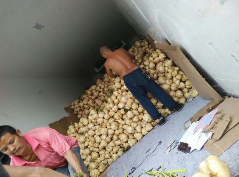 土瓜凉署