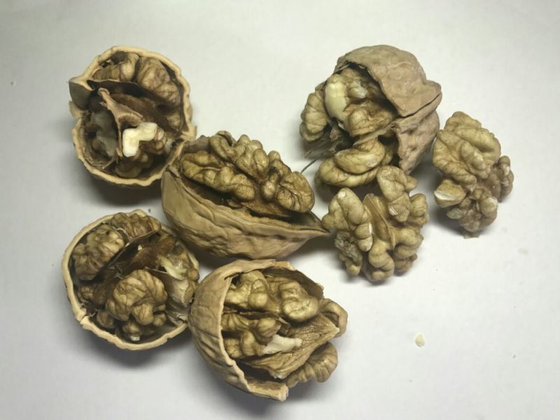长期供货2024年新疆和田薄皮中果大果70斤袋装