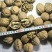 长期供货2024年新疆和田薄皮中果大果70斤袋装
