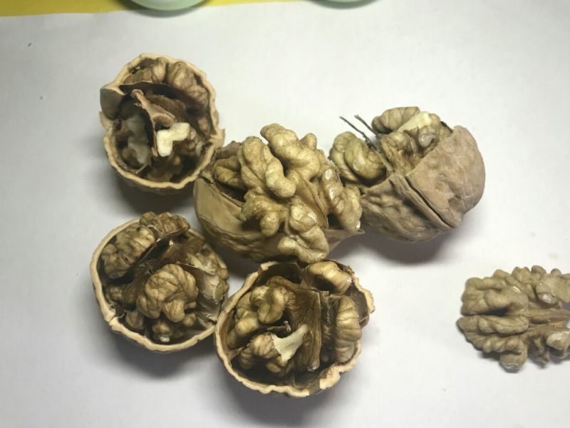 长期供货2024年新疆和田薄皮中果大果70斤袋装