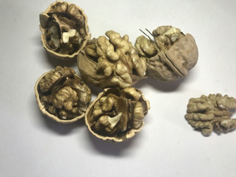 长期供货2024年新疆和田薄皮中果大果70斤袋装