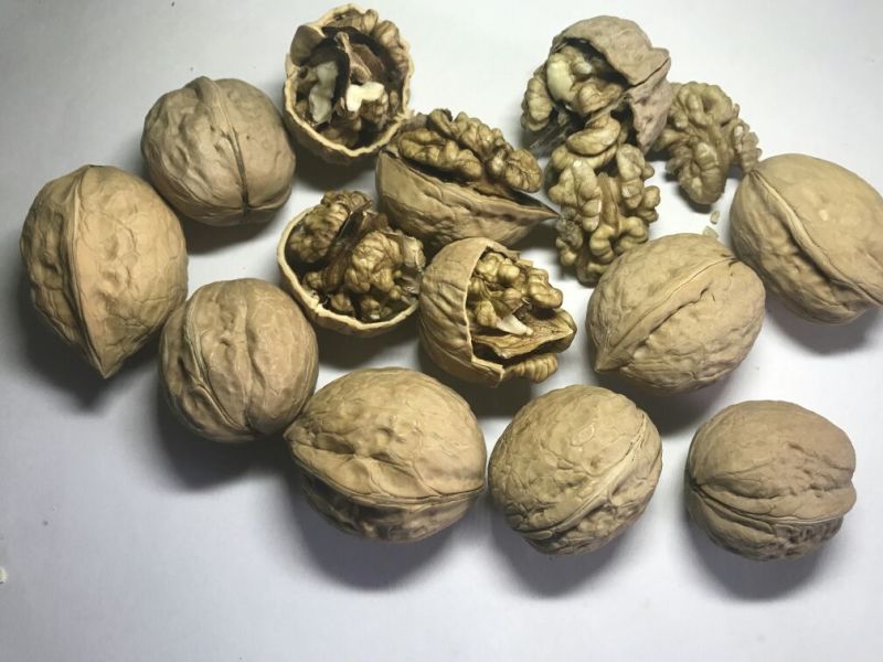 长期供货2024年新疆和田薄皮中果大果70斤袋装