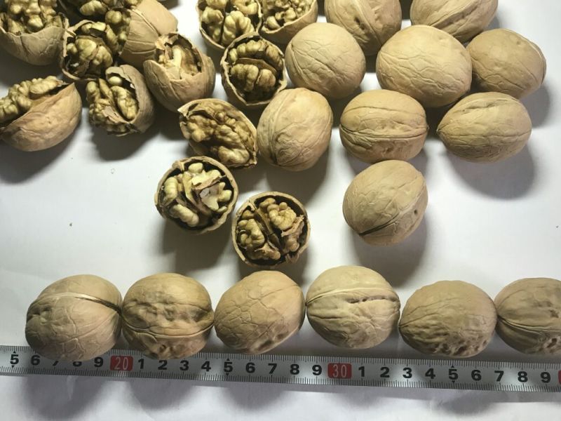 一件代发新疆纸皮新2核桃纸皮33阿克苏185核桃
