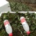 草莓苗10cm以下