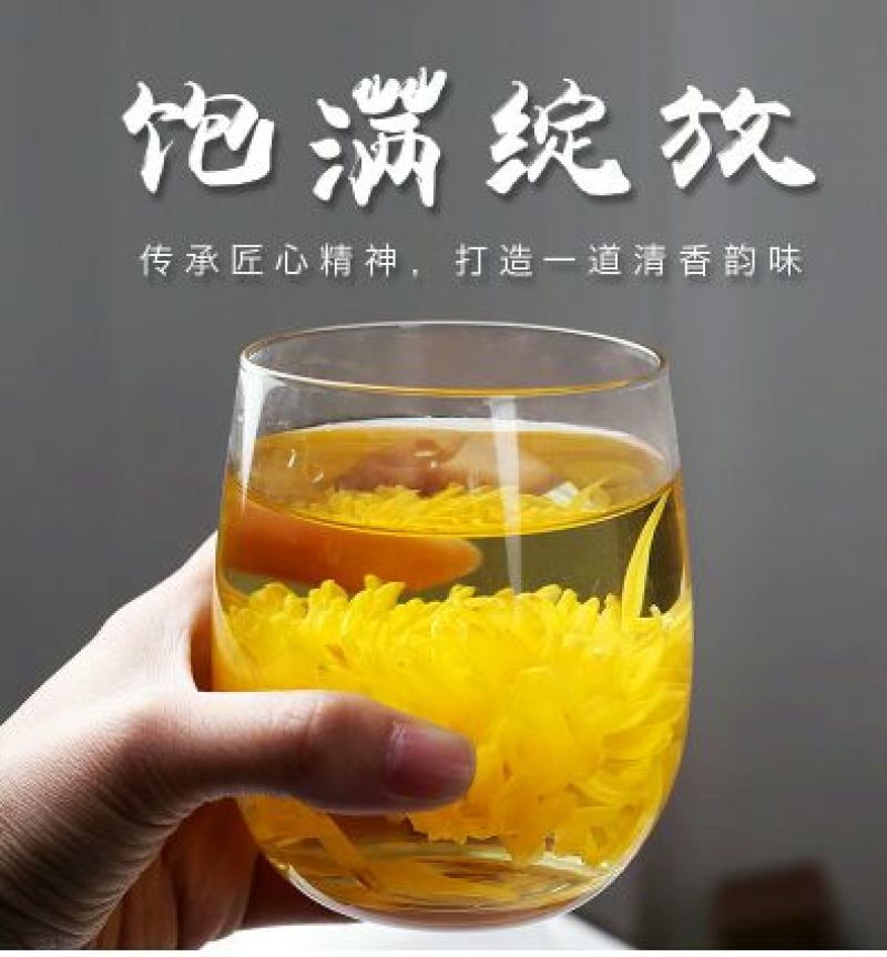金丝皇菊茶金丝皇菊买十盒送一盒
