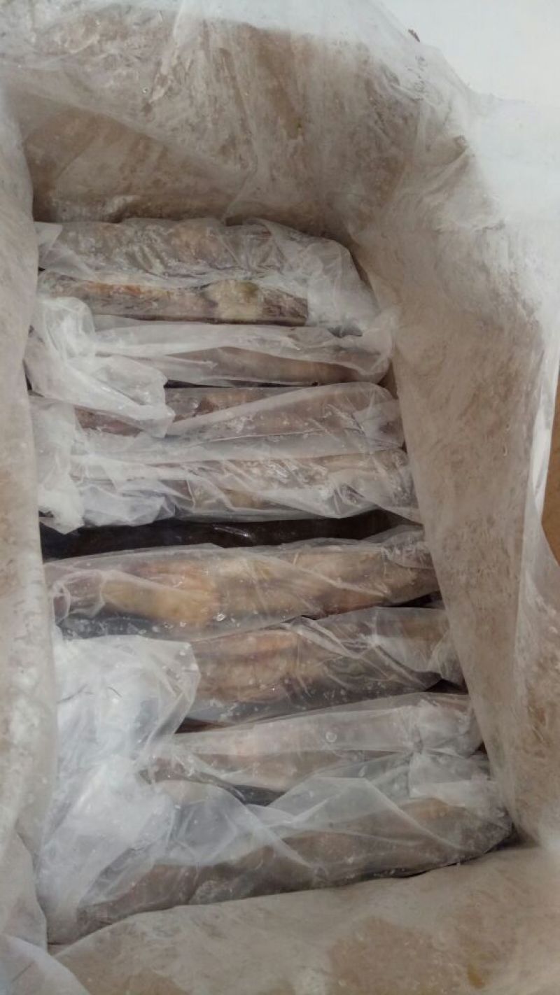 南美白对虾食用活虾