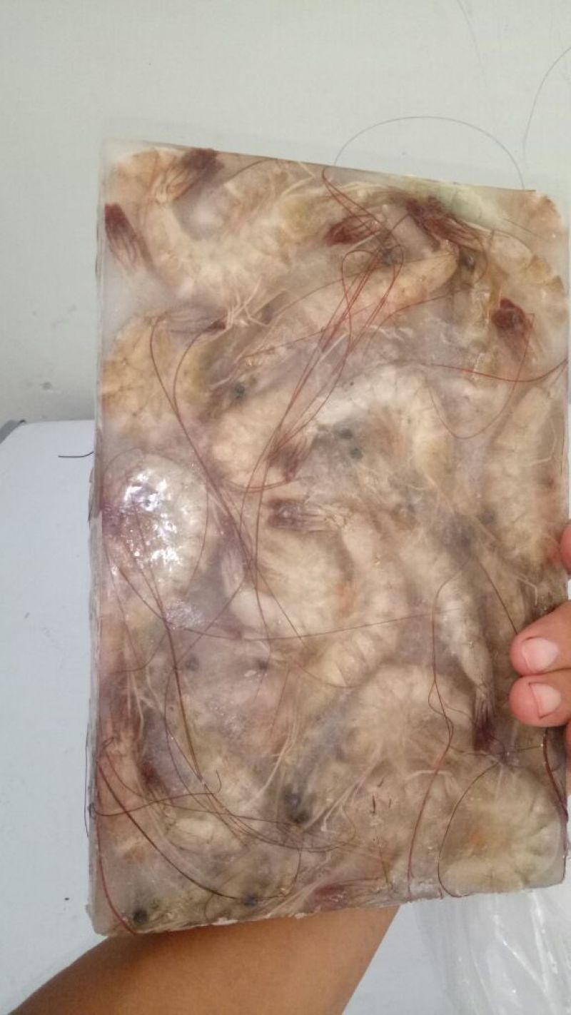 南美白对虾食用活虾
