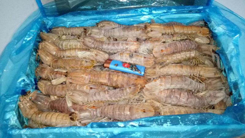 南美白对虾食用活虾