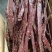 牛肉风干肉