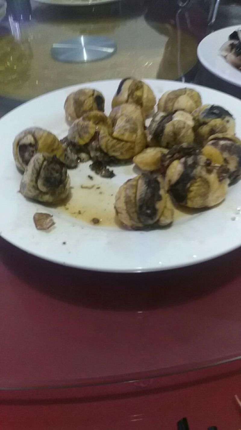 青脚土鸡苗35~45克出壳苗雄
