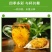 金丝皇菊茶买十盒送一盒
