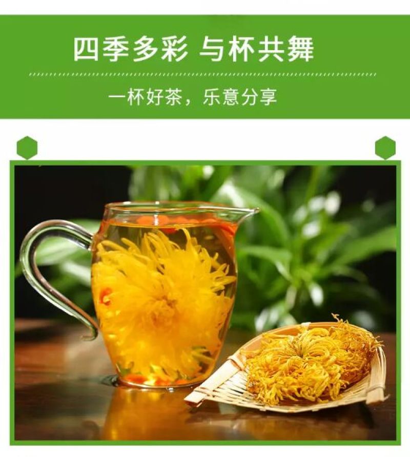 金丝皇菊茶买十盒送一盒