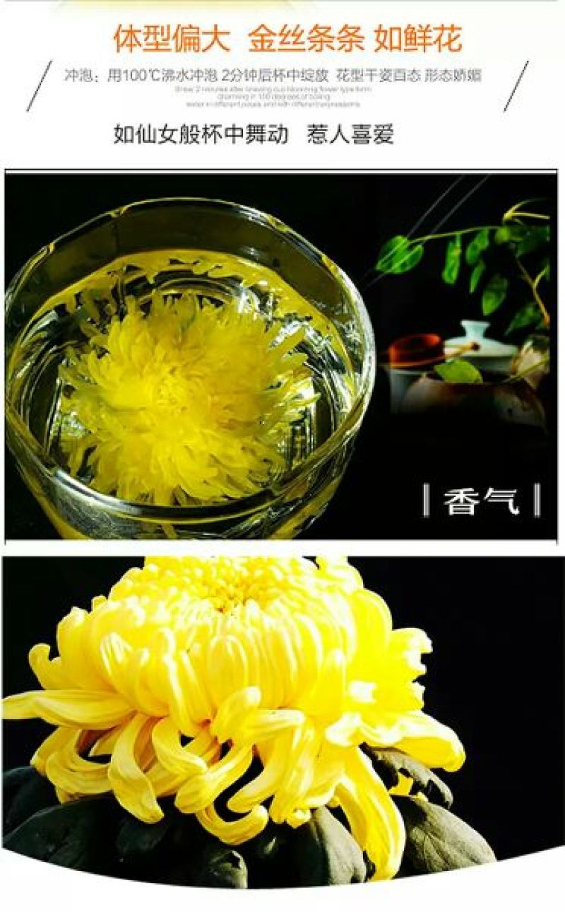 金丝皇菊茶买十盒送一盒