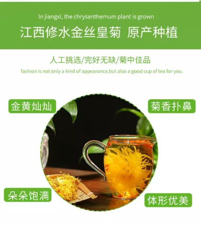 金丝皇菊茶买十盒送一盒