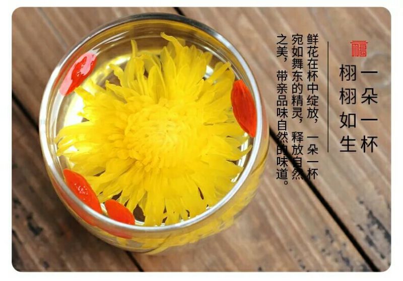 金丝皇菊茶一级